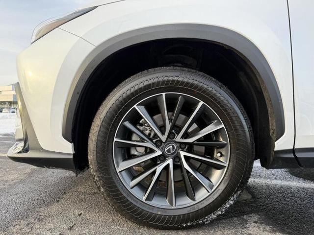 2025 Lexus NX 250 AWD