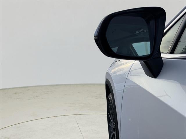 2025 Lexus NX 250 AWD