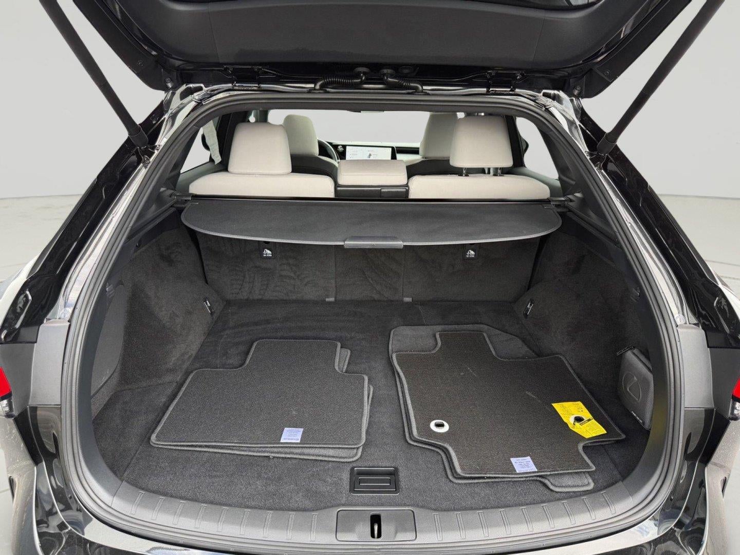 2024 Lexus Rx PREMIUM