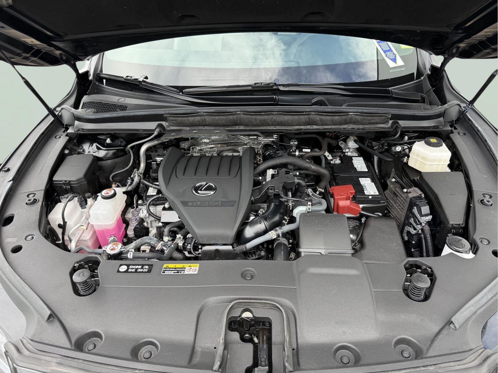 2024 Lexus Rx PREMIUM