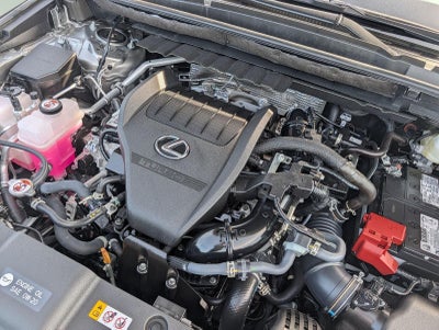 2025 Lexus NX 350 NX 350 Premium