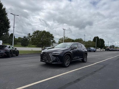 2024 Lexus Nx 350 PREMIUM