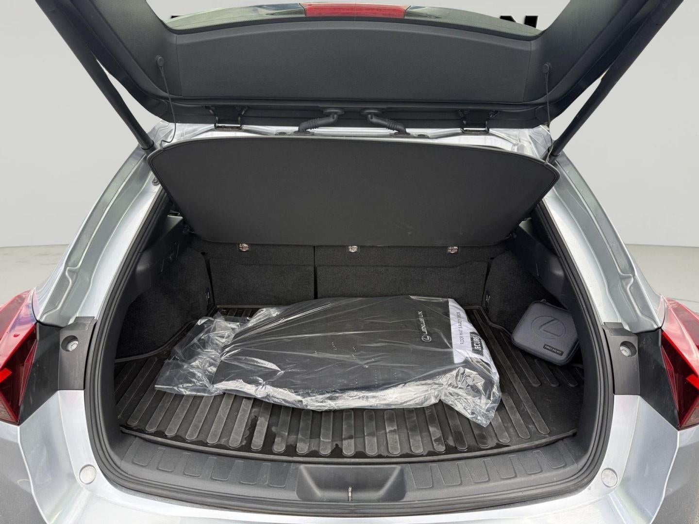 2023 Lexus UX 250h F SPORT DESIGN AWD