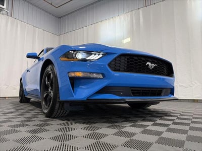 2022 Ford Mustang EcoBoost Convertible