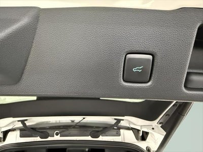 2024 Ford Escape ST-Line Elite